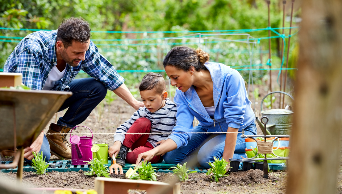 Gardening for Beginners: Tips and Tricks for a Flourishing&nbsp;Garden