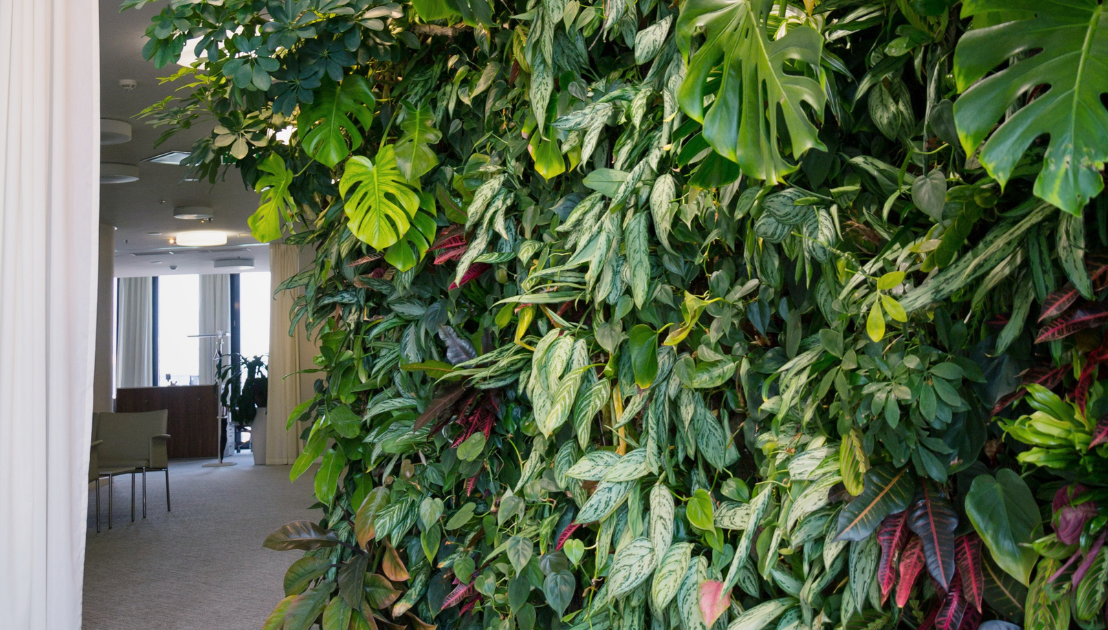 The Green Wall Trend: Elevating Indoor Spaces with Vertical&nbsp;Gardens